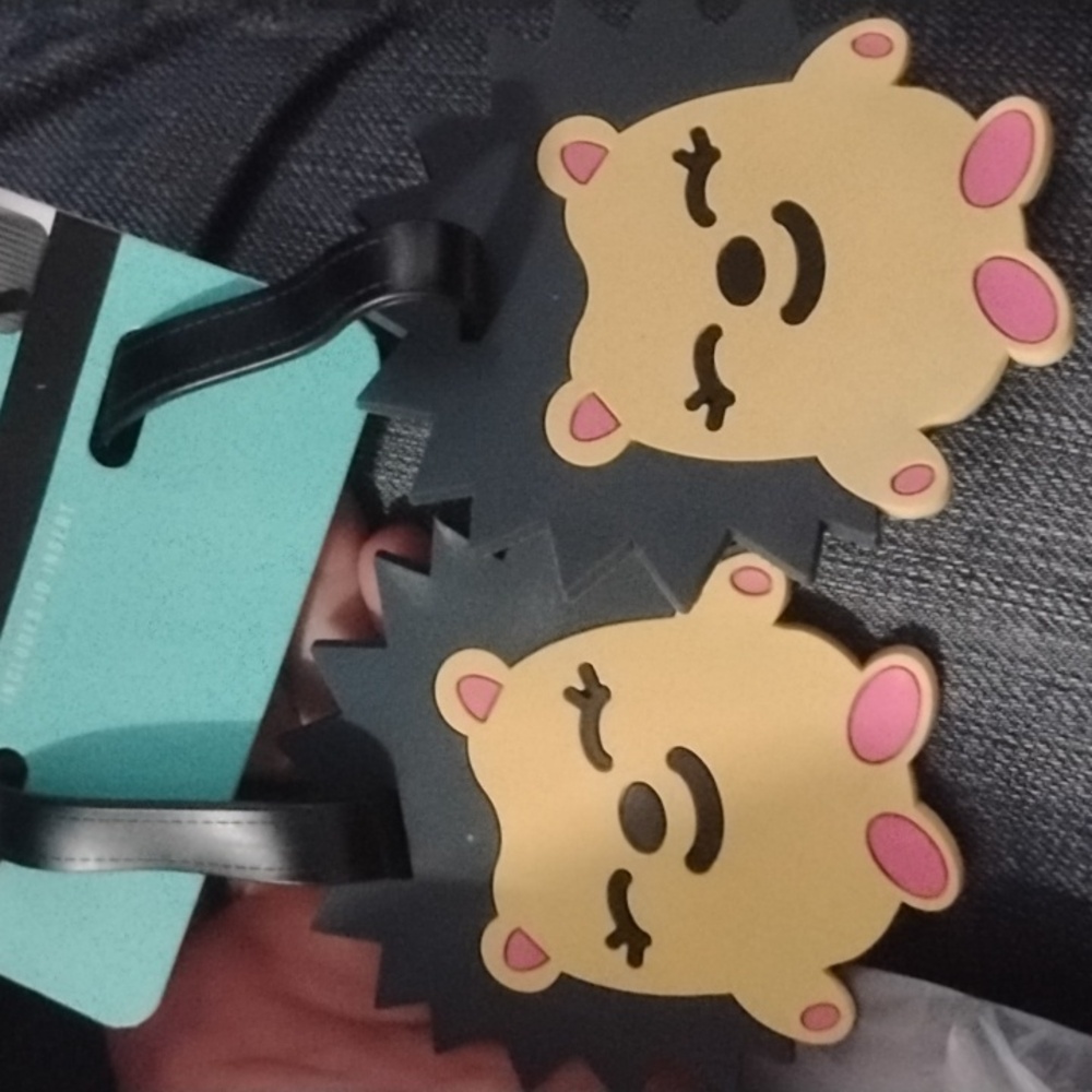 Porcupine / hedgehog luggage tags